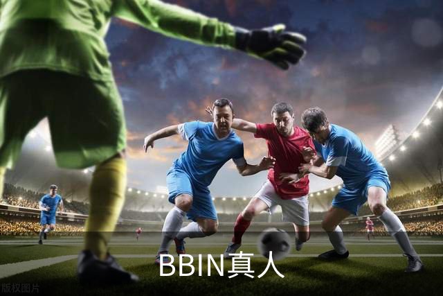 BBIN真人公司简介
